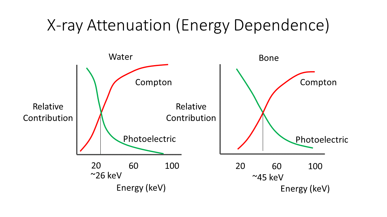 X-Ray Interactions with Matter and Image Signal Generation in X-Ray Imaging 22