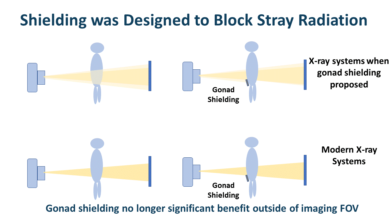 Radiation Biology 73